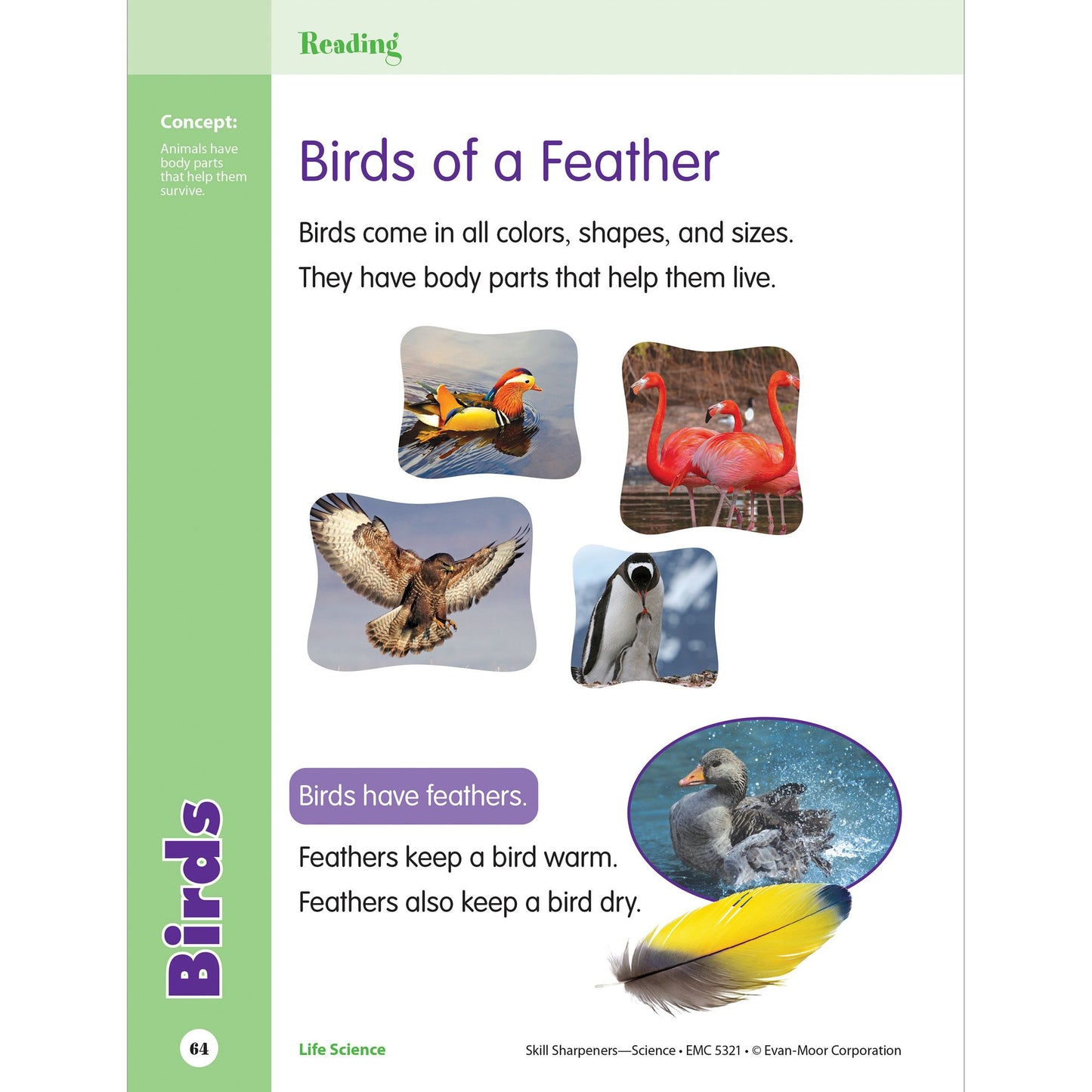 Skill Sharpeners: Science, Grade 1 Workbook