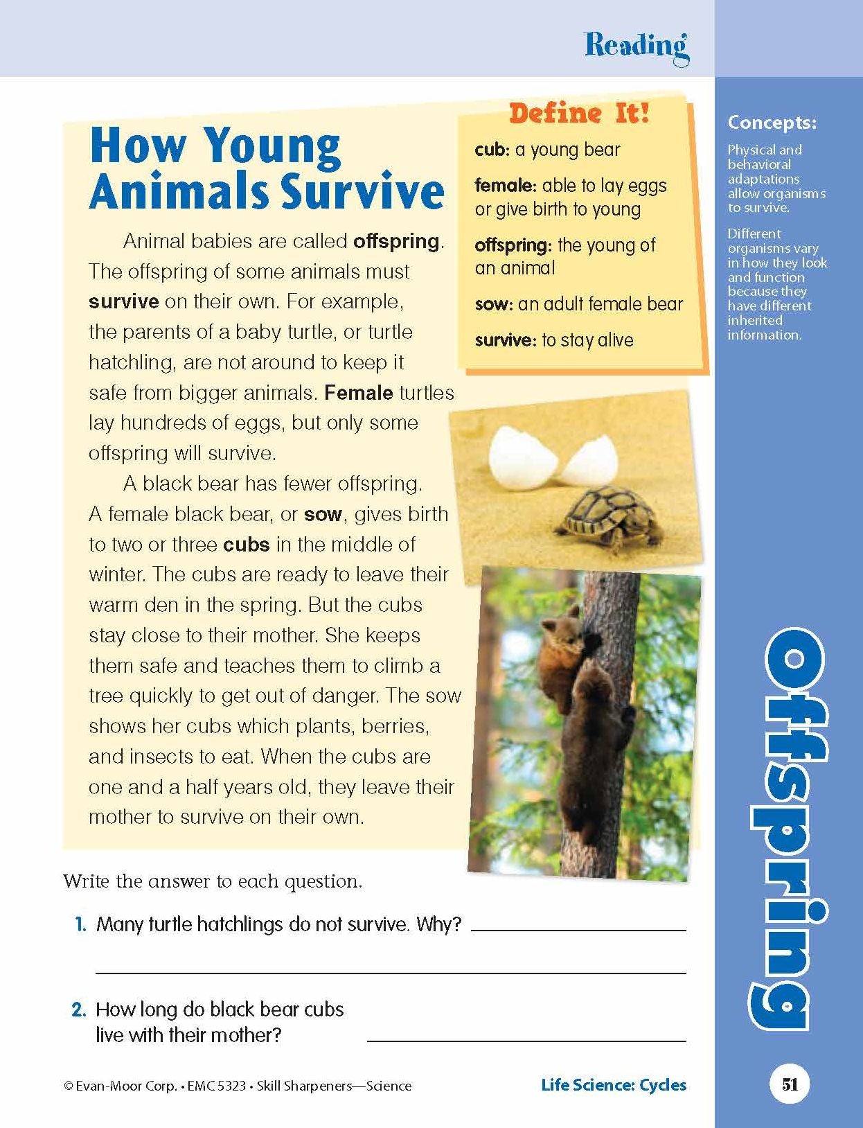 Skill Sharpeners: Science, Grade 3 Workbook
