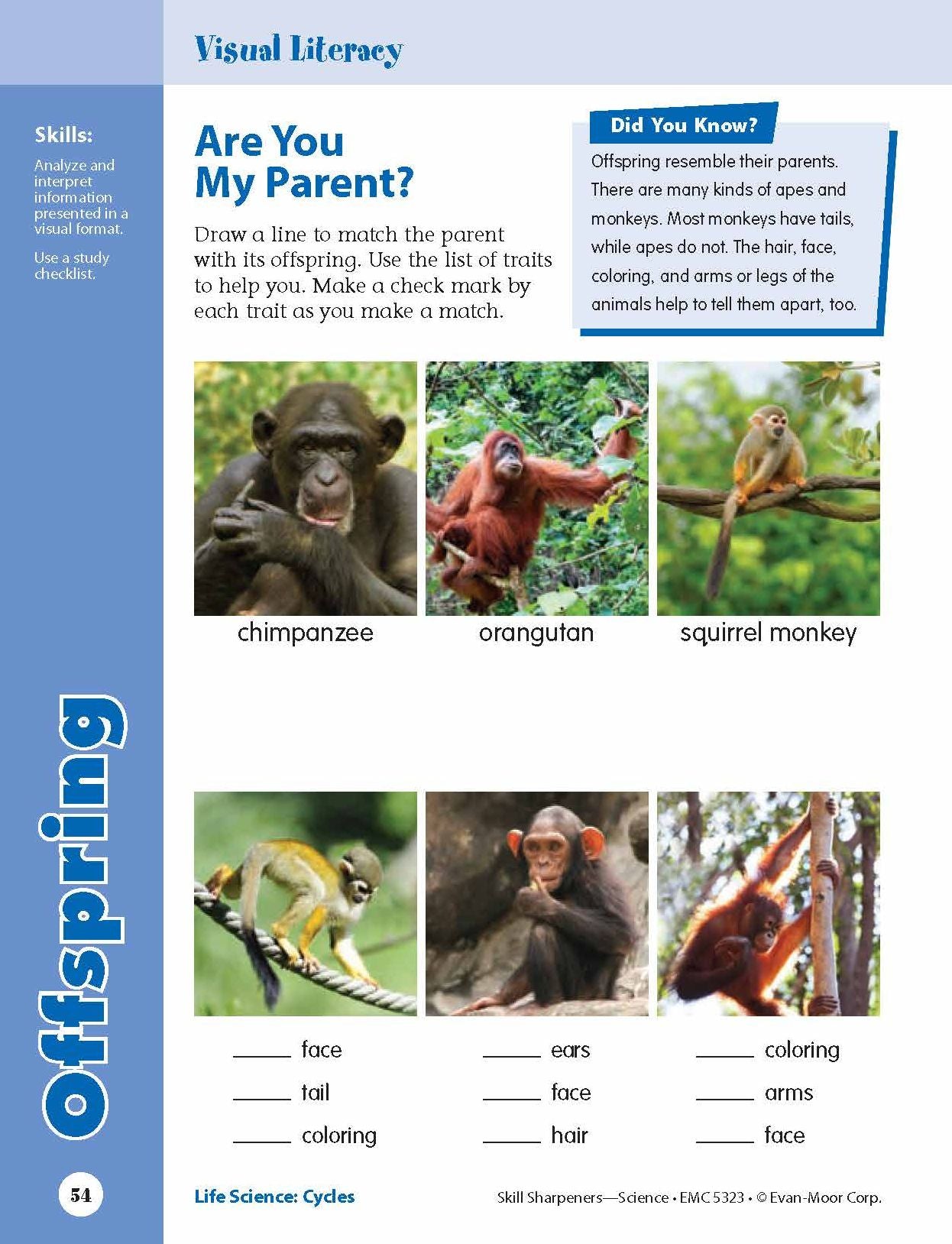 Skill Sharpeners: Science, Grade 3 Workbook