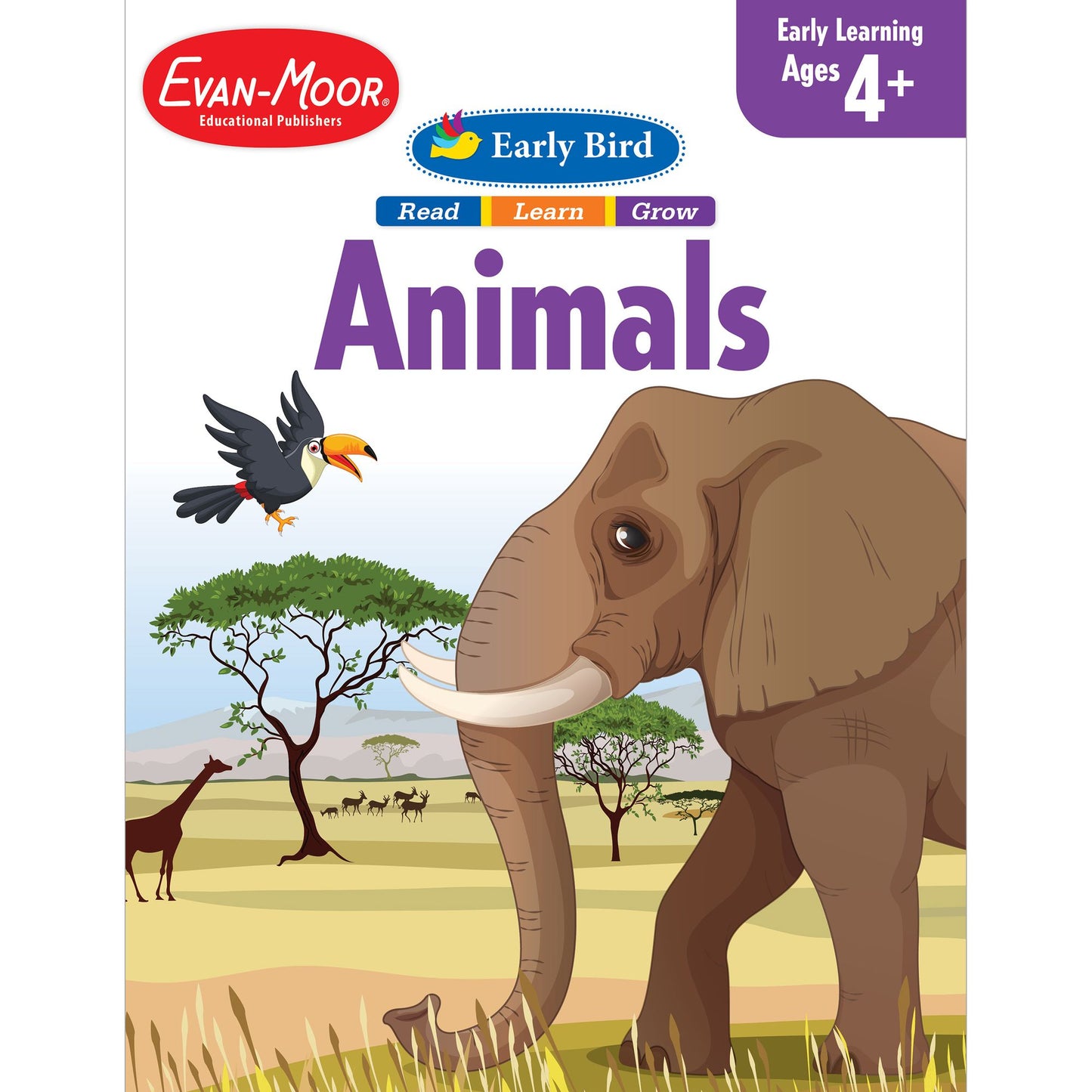 Early Bird Animals