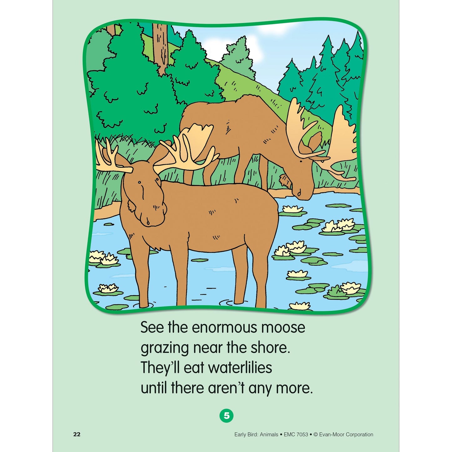 Early Bird Animals