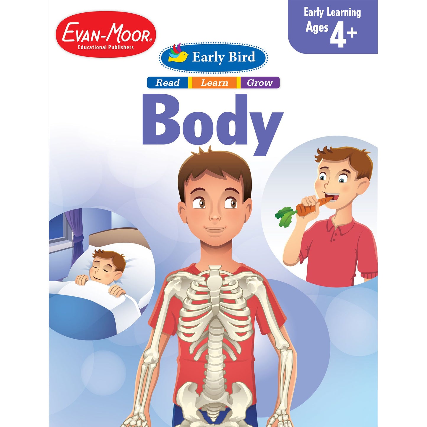 Early Bird Body