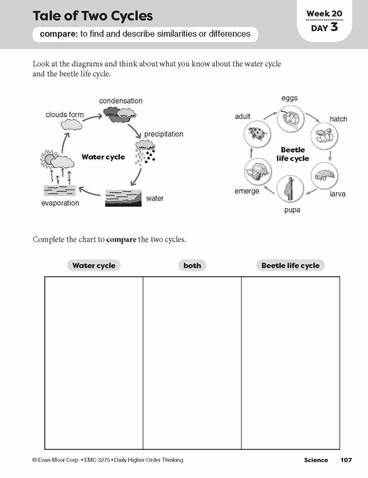 Daily Higher-Order Thinking, Grade 5 Teacher Edition