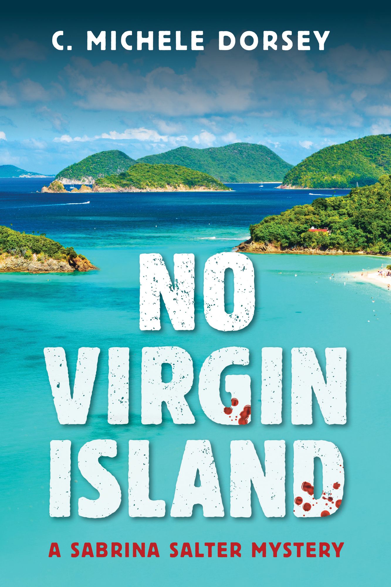 No Virgin Island: A Sabrina Salter Mystery