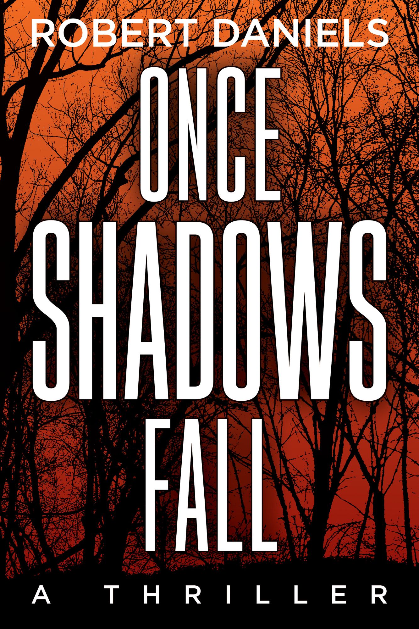 Once Shadows Fall: A Thriller