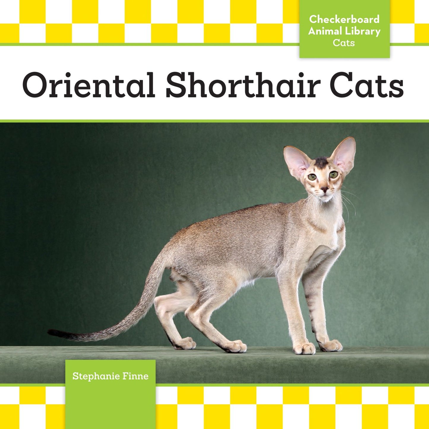 Oriental Shorthair Cats