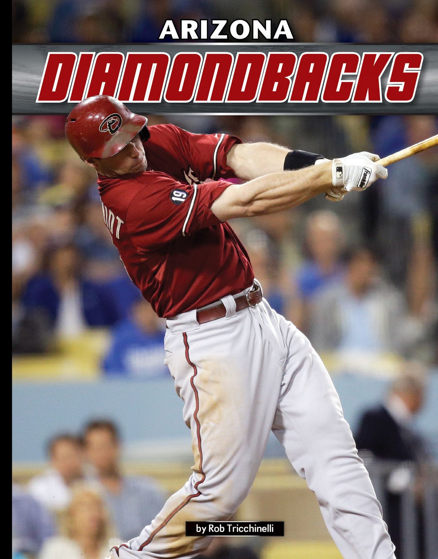 Arizona Diamondbacks (PagePerfect NOOK Book)