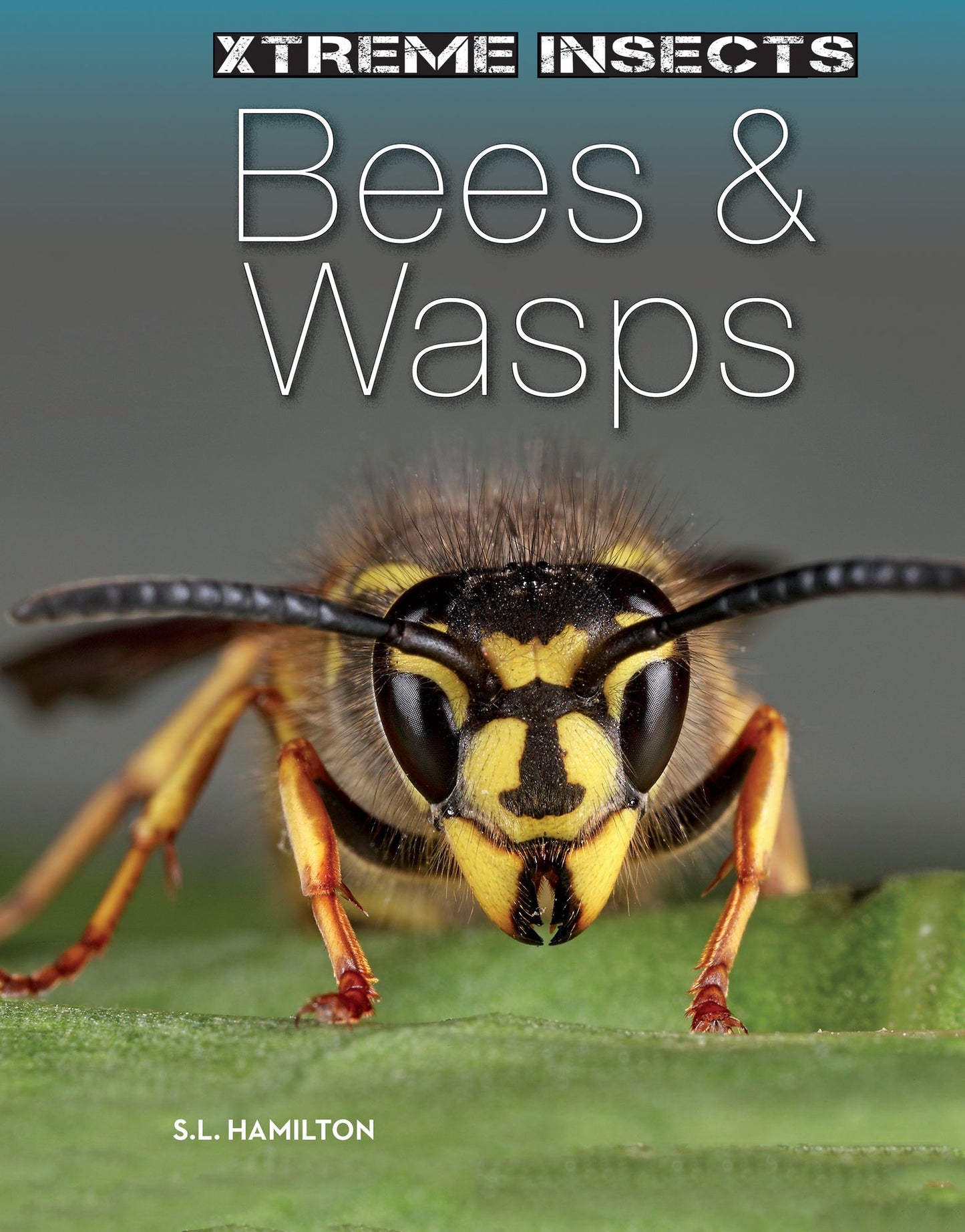 Bees & Wasps