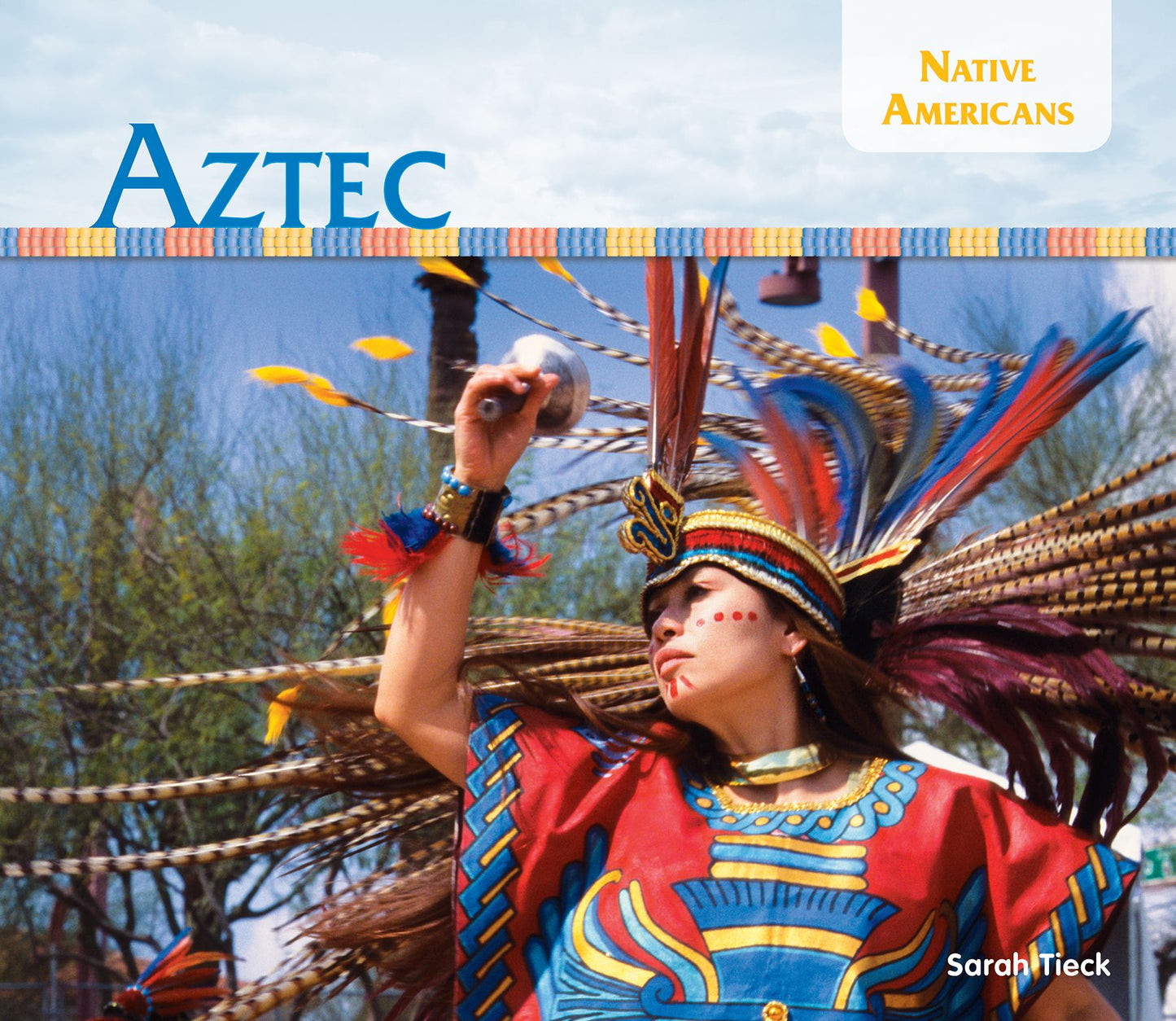 Aztec (PagePerfect NOOK Book)