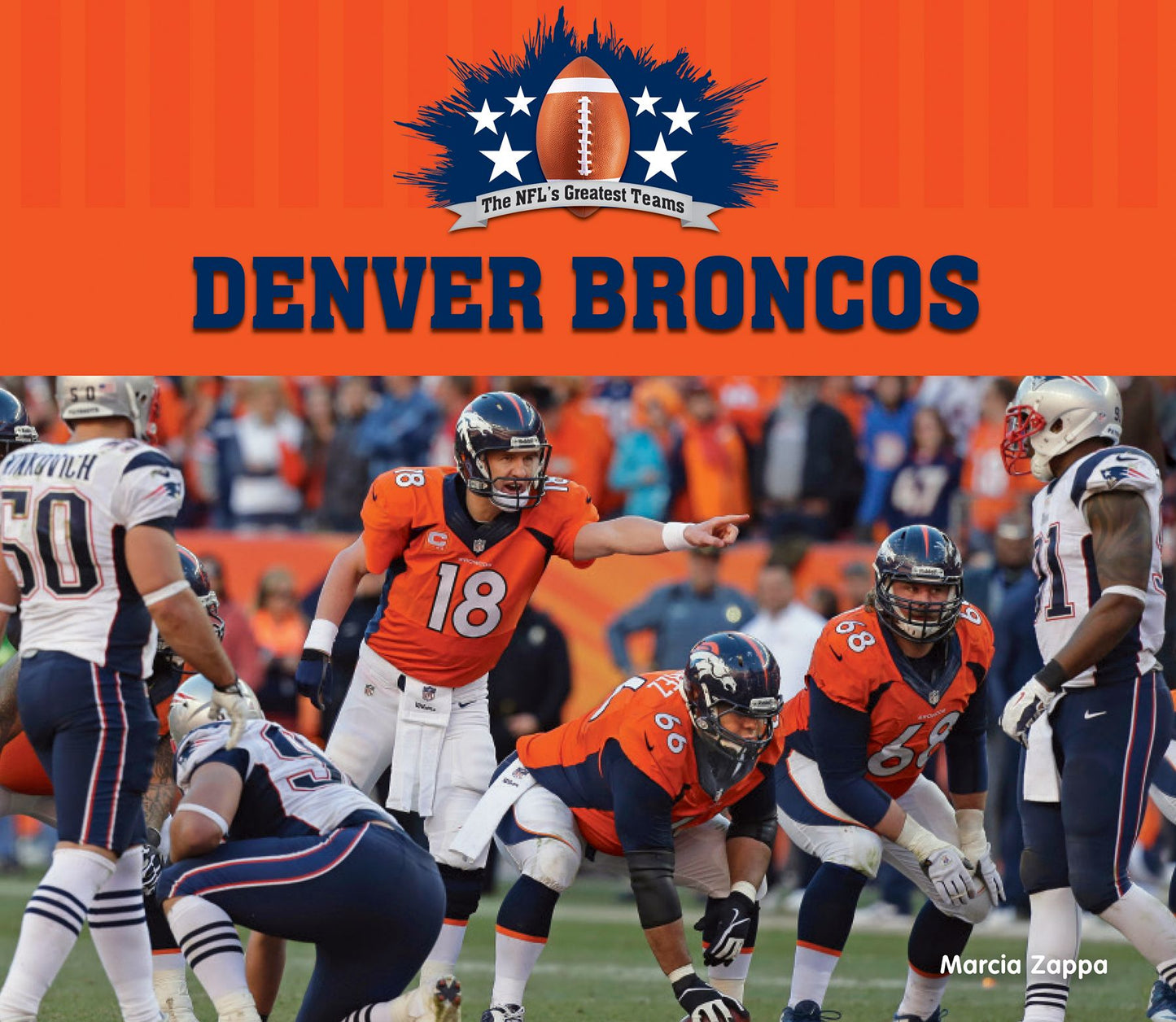 Denver Broncos (PagePerfect NOOK Book)