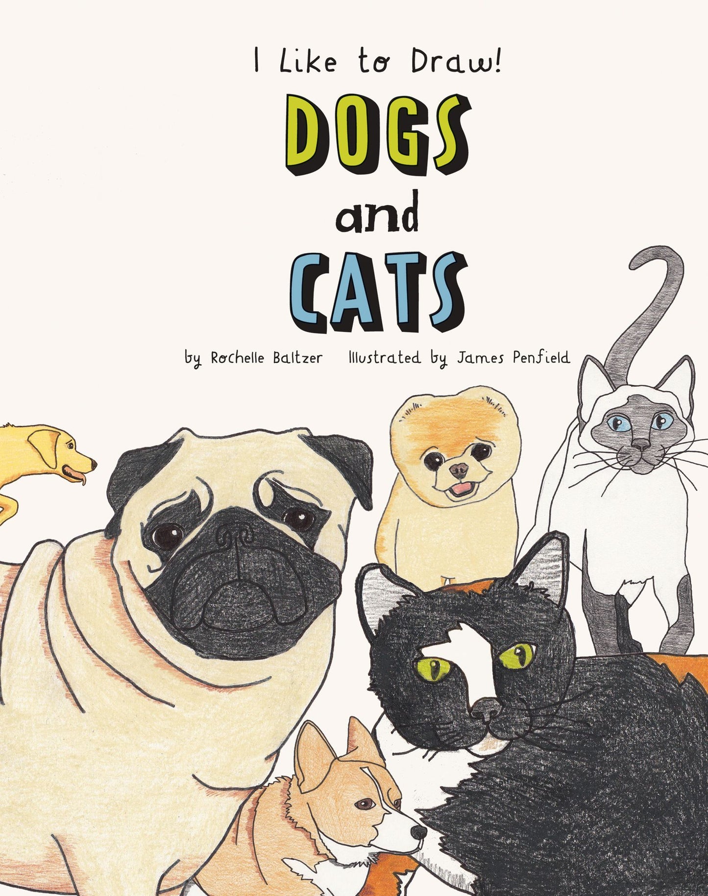 Dogs and Cats (PagePerfect NOOK Book)