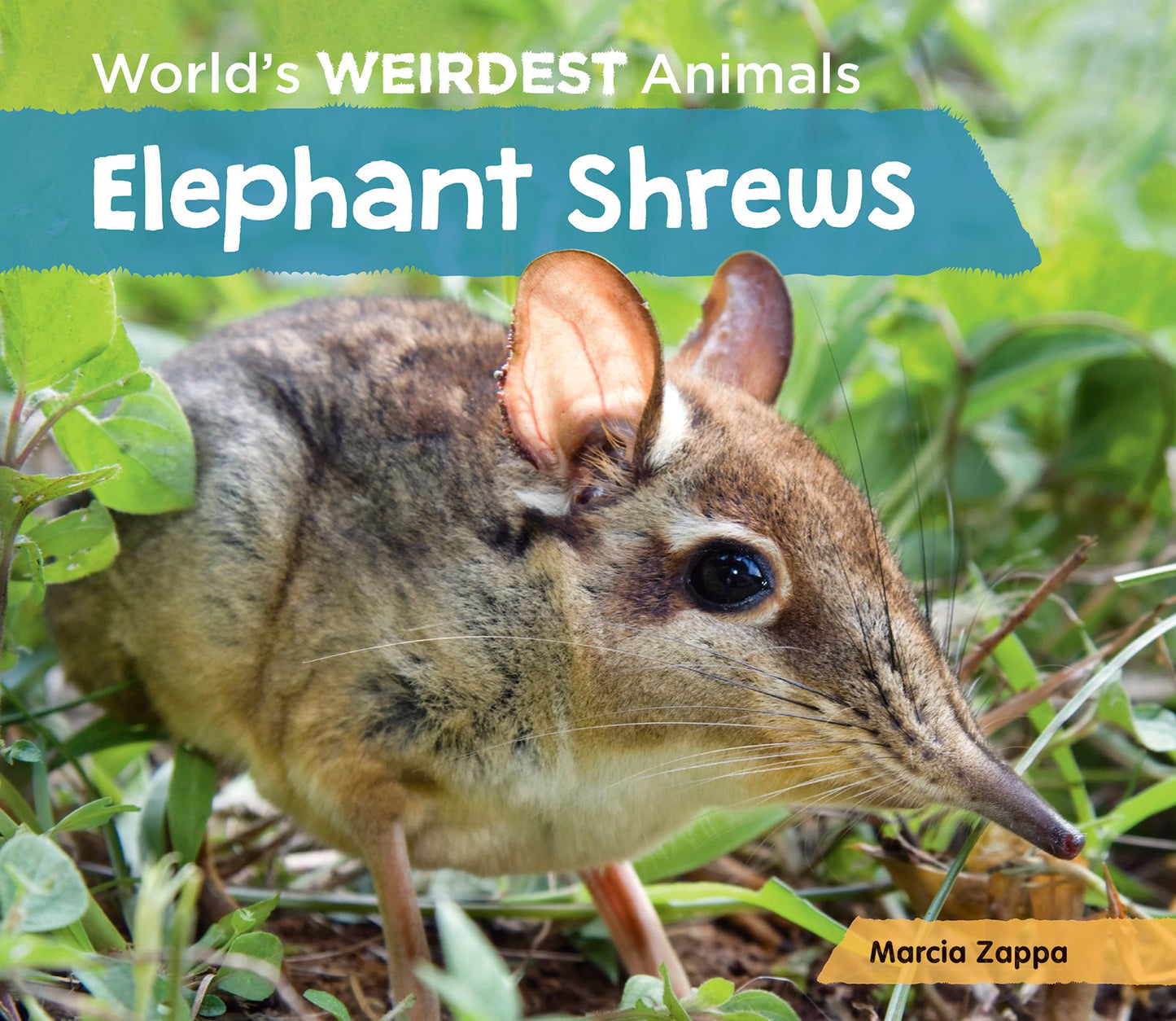 Elephant Shrews (PagePerfect NOOK Book)