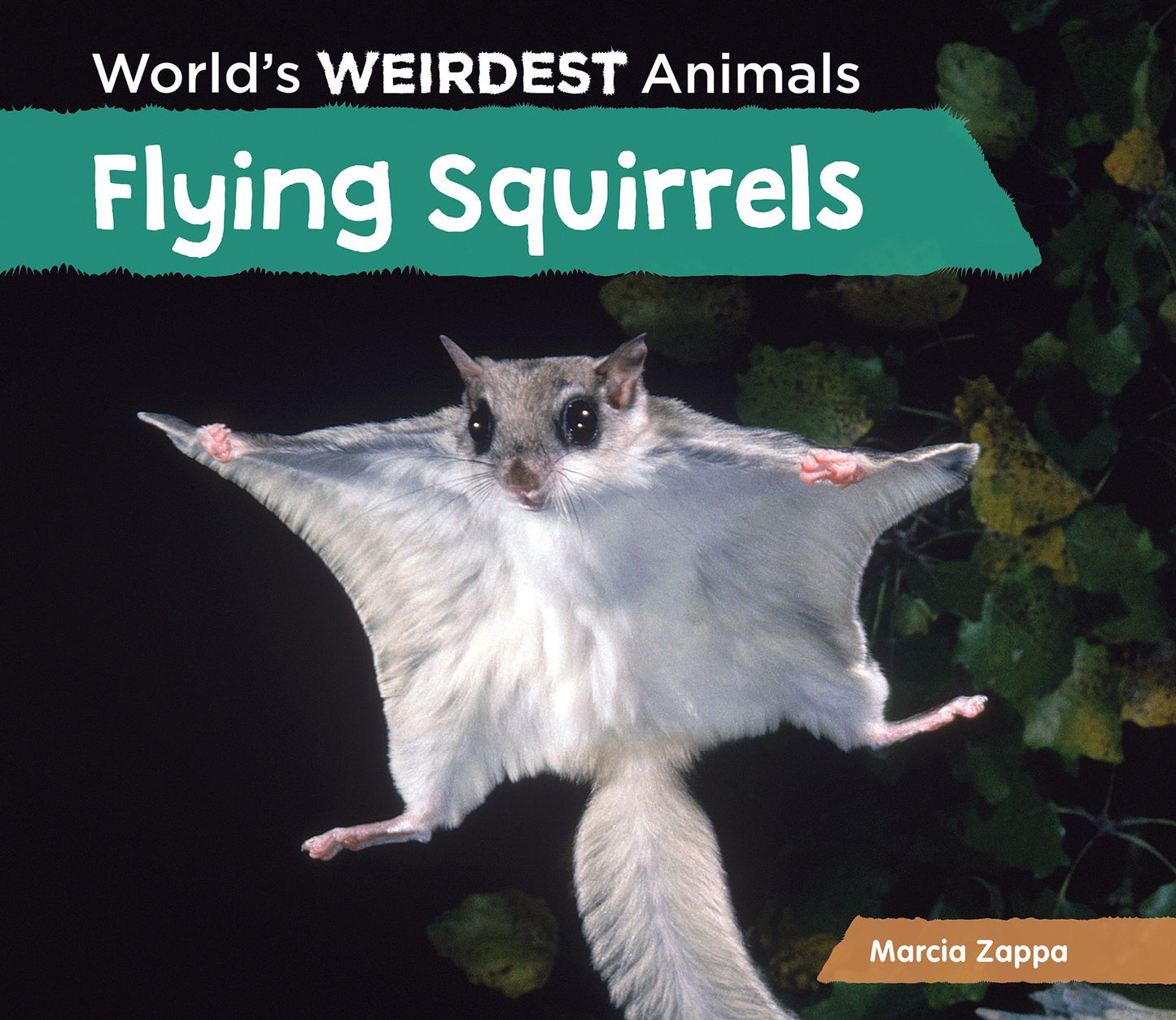 Flying Squirrels (PagePerfect NOOK Book)
