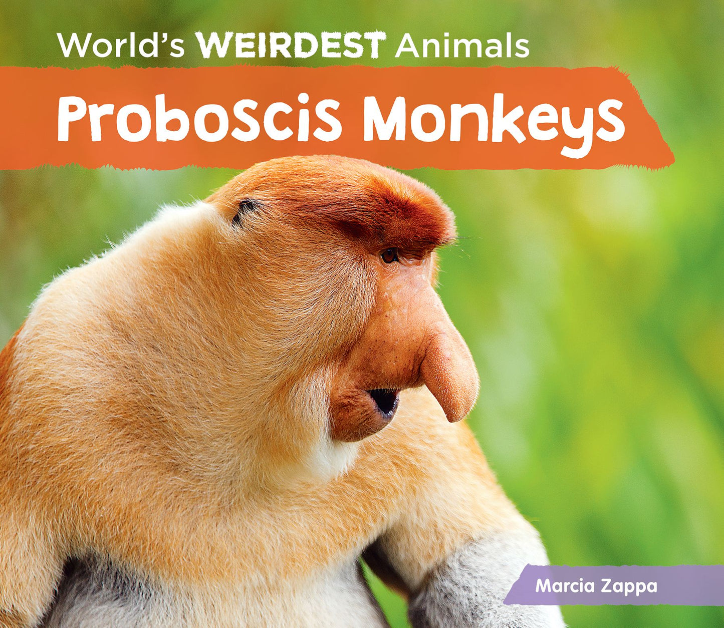 Proboscis Monkeys (PagePerfect NOOK Book)