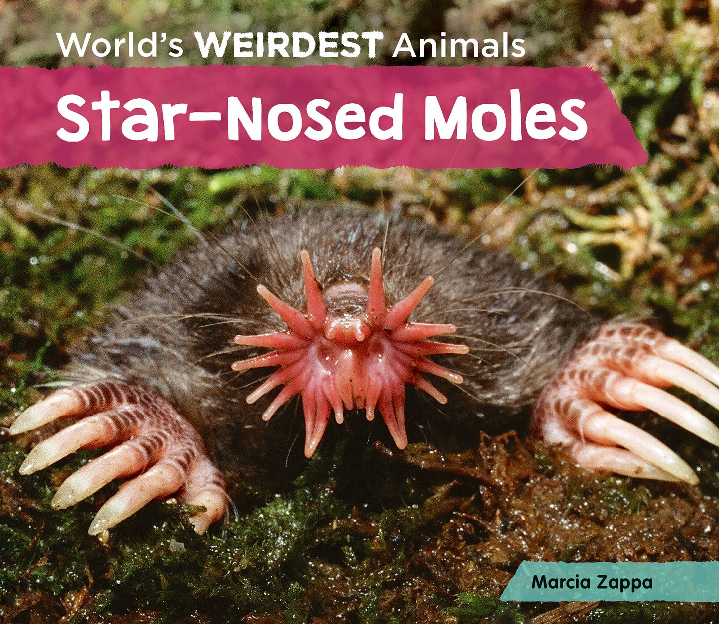 Star-Nosed Moles (PagePerfect NOOK Book)