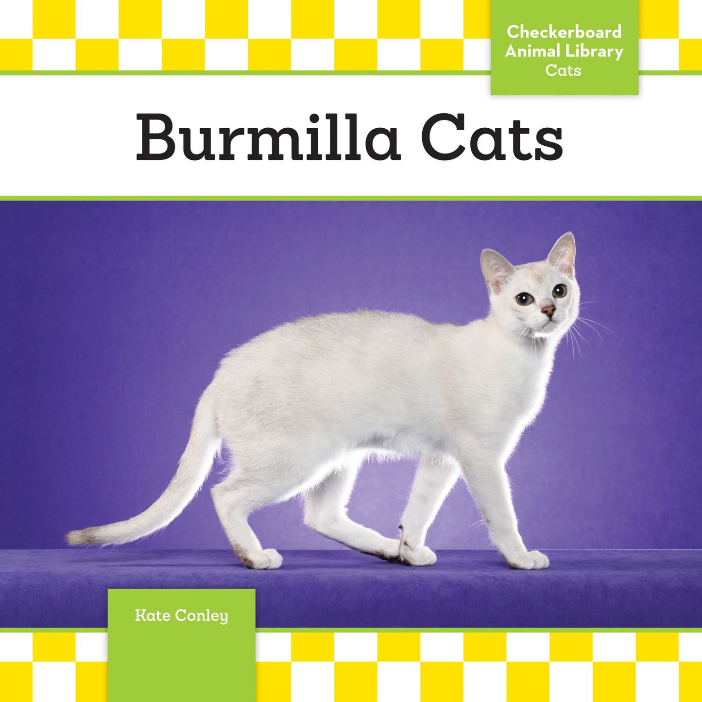 Burmilla Cats (PagePerfect NOOK Book)