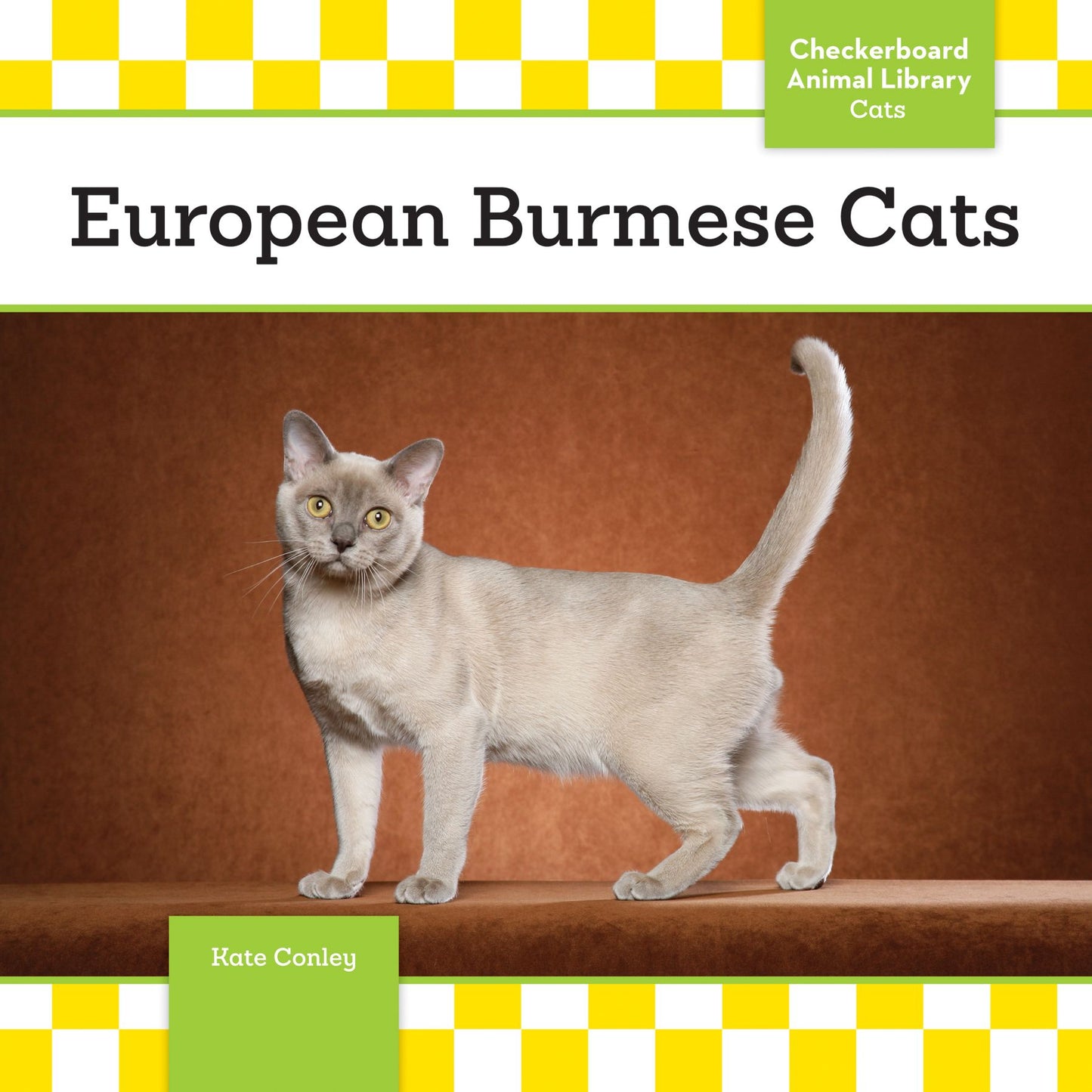 European Burmese Cats (PagePerfect NOOK Book)