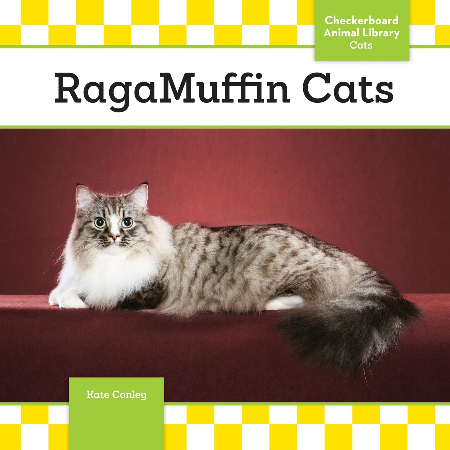 RagaMuffin Cats (PagePerfect NOOK Book)
