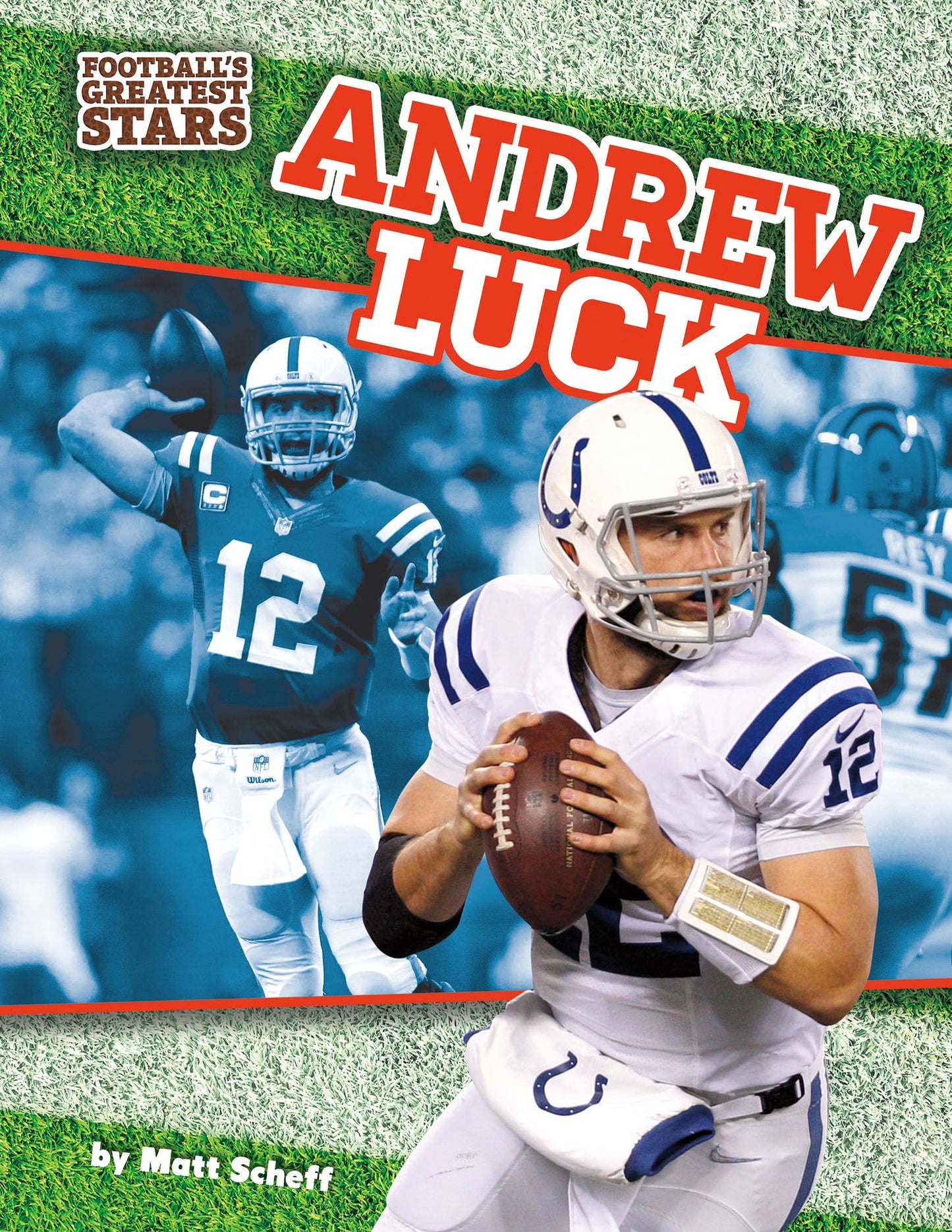 Andrew Luck (PagePerfect NOOK Book)