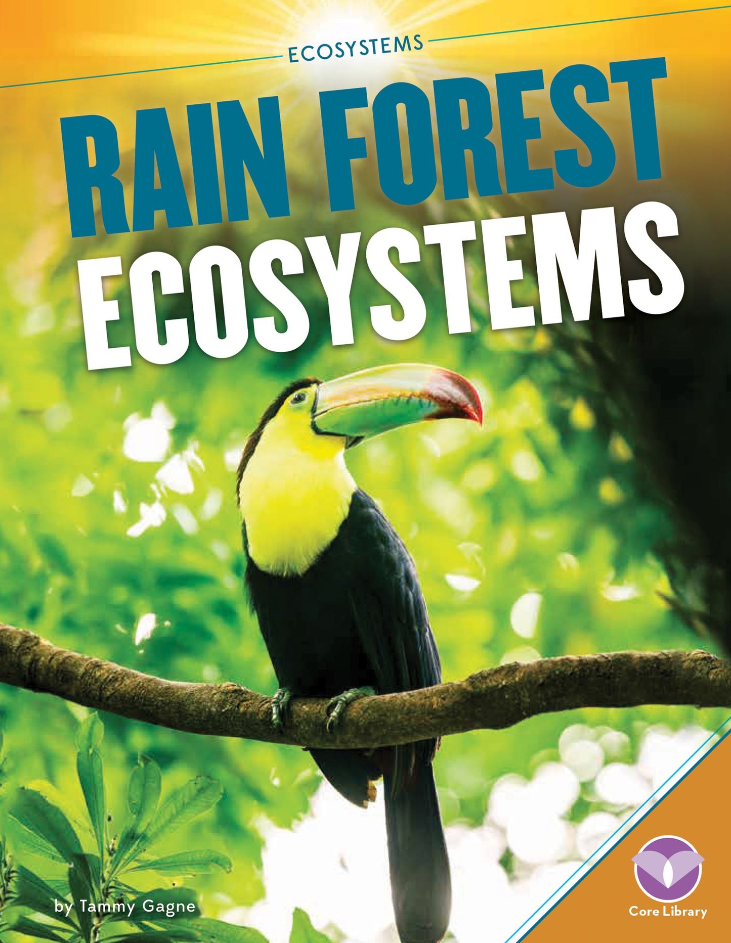 Rain Forest Ecosystems (PagePerfect NOOK Book)
