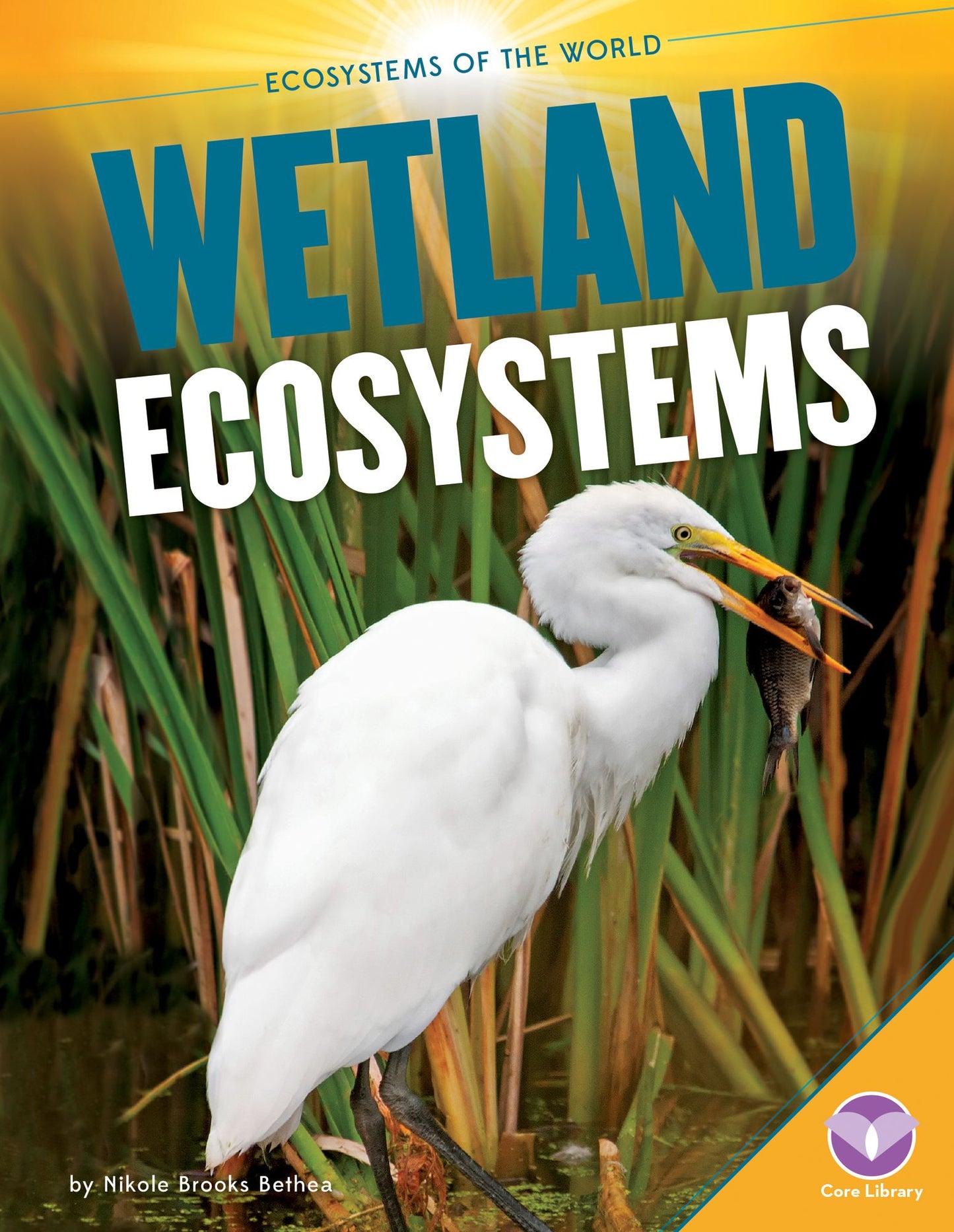 Wetland Ecosystems (PagePerfect NOOK Book)