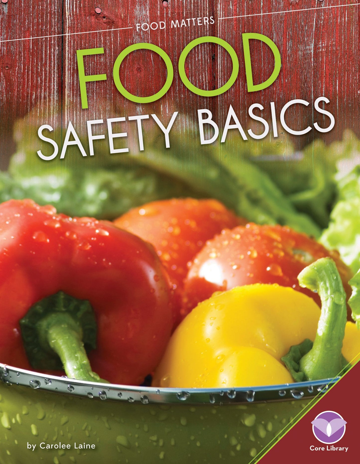 Food Safety Basics (PagePerfect NOOK Book)