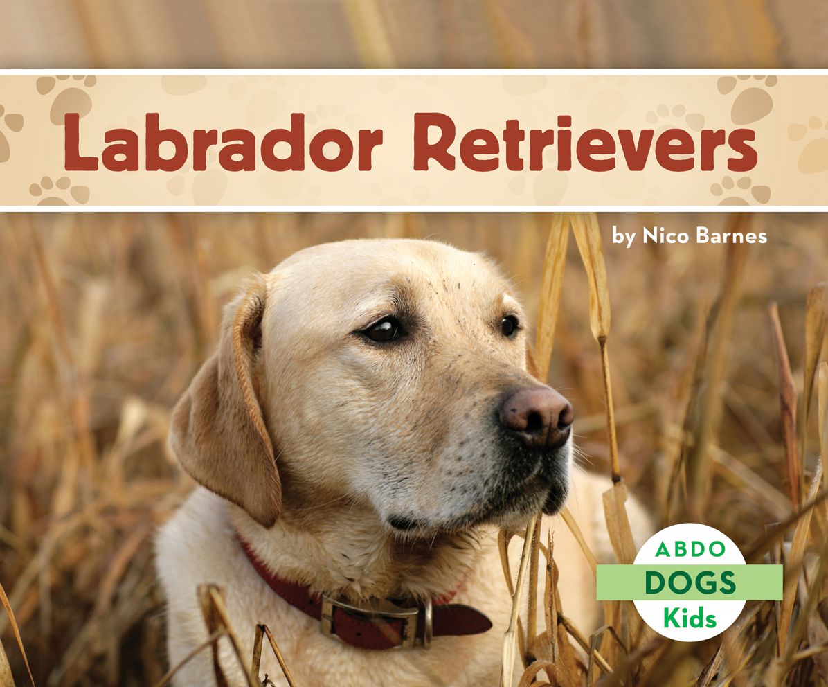 Labrador Retrievers