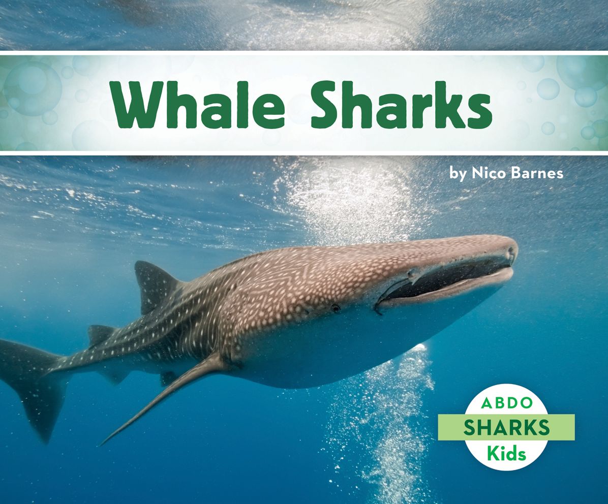 Whale Sharks