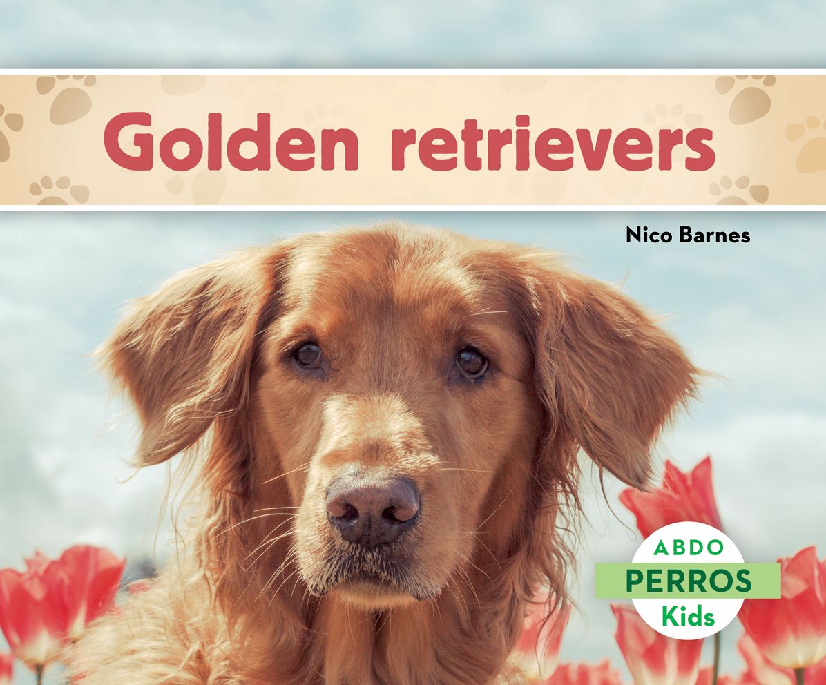 Golden retrievers
