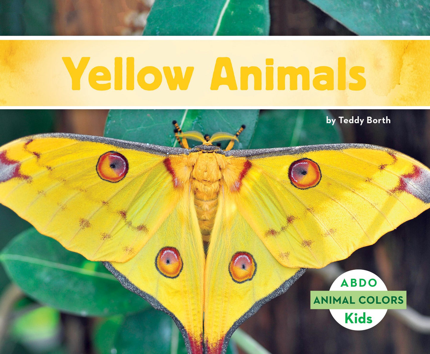 Yellow Animals (PagePerfect NOOK Book)