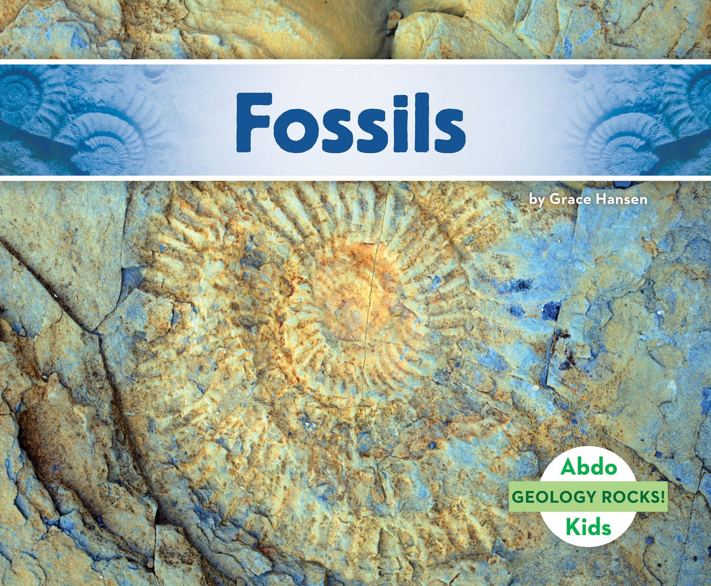 Fossils (PagePerfect NOOK Book)