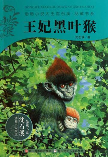 The Princess of Francois Langur