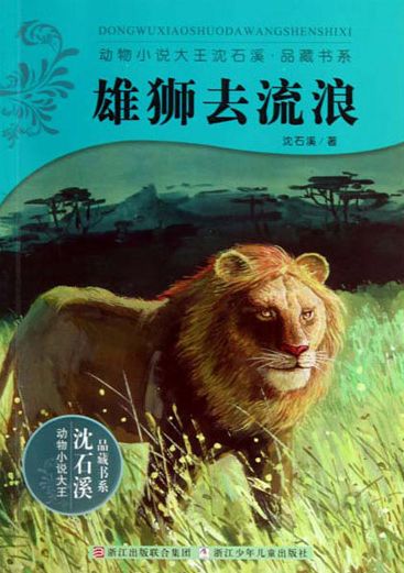 Lion to Stray