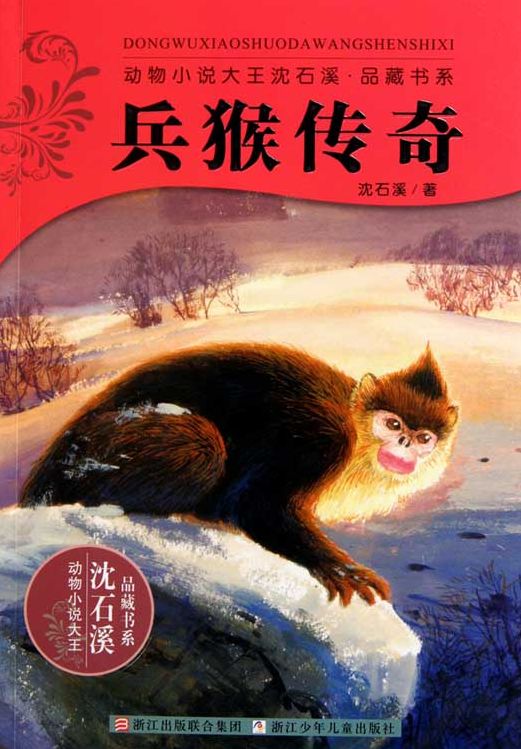 Soldier Monkey Legend