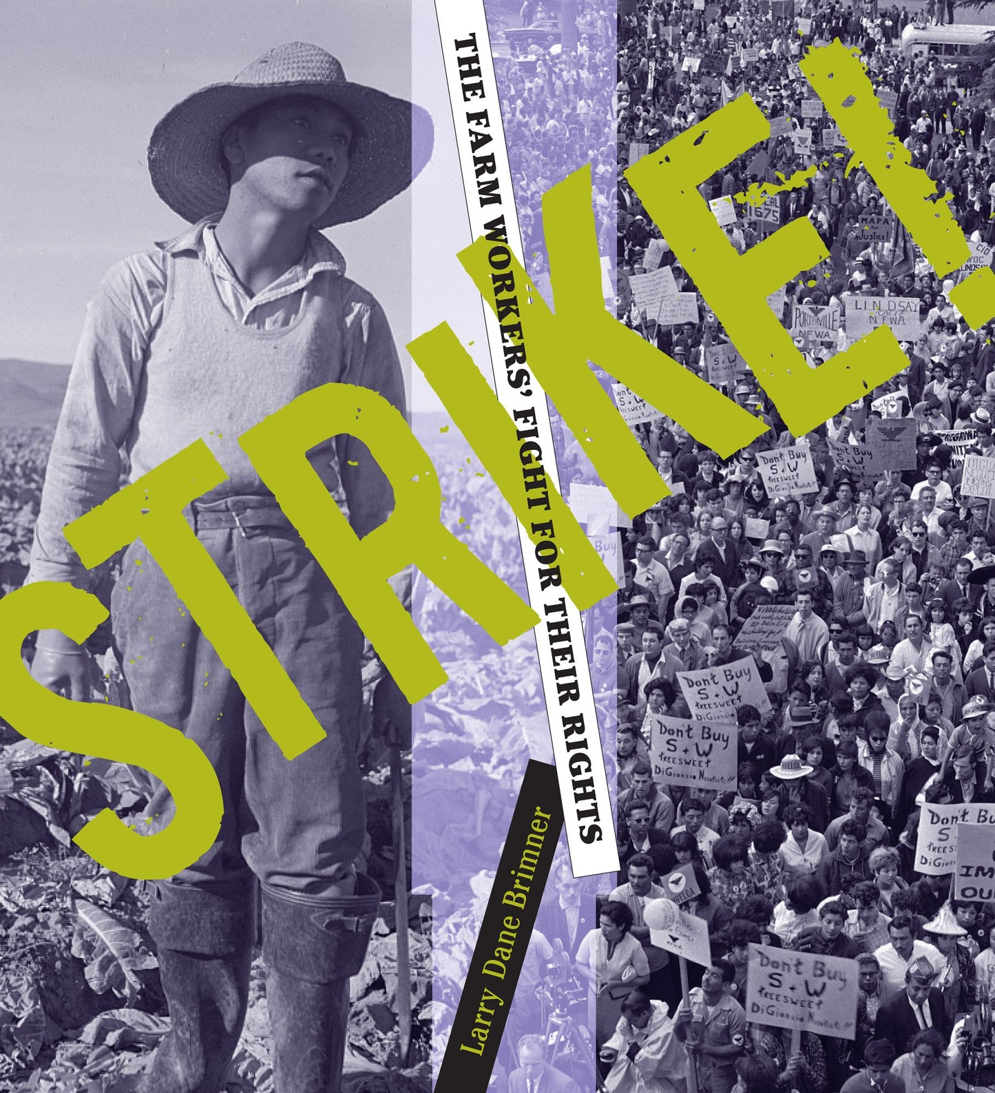 Strike!: The Farm Workers' Fight for Their Rights