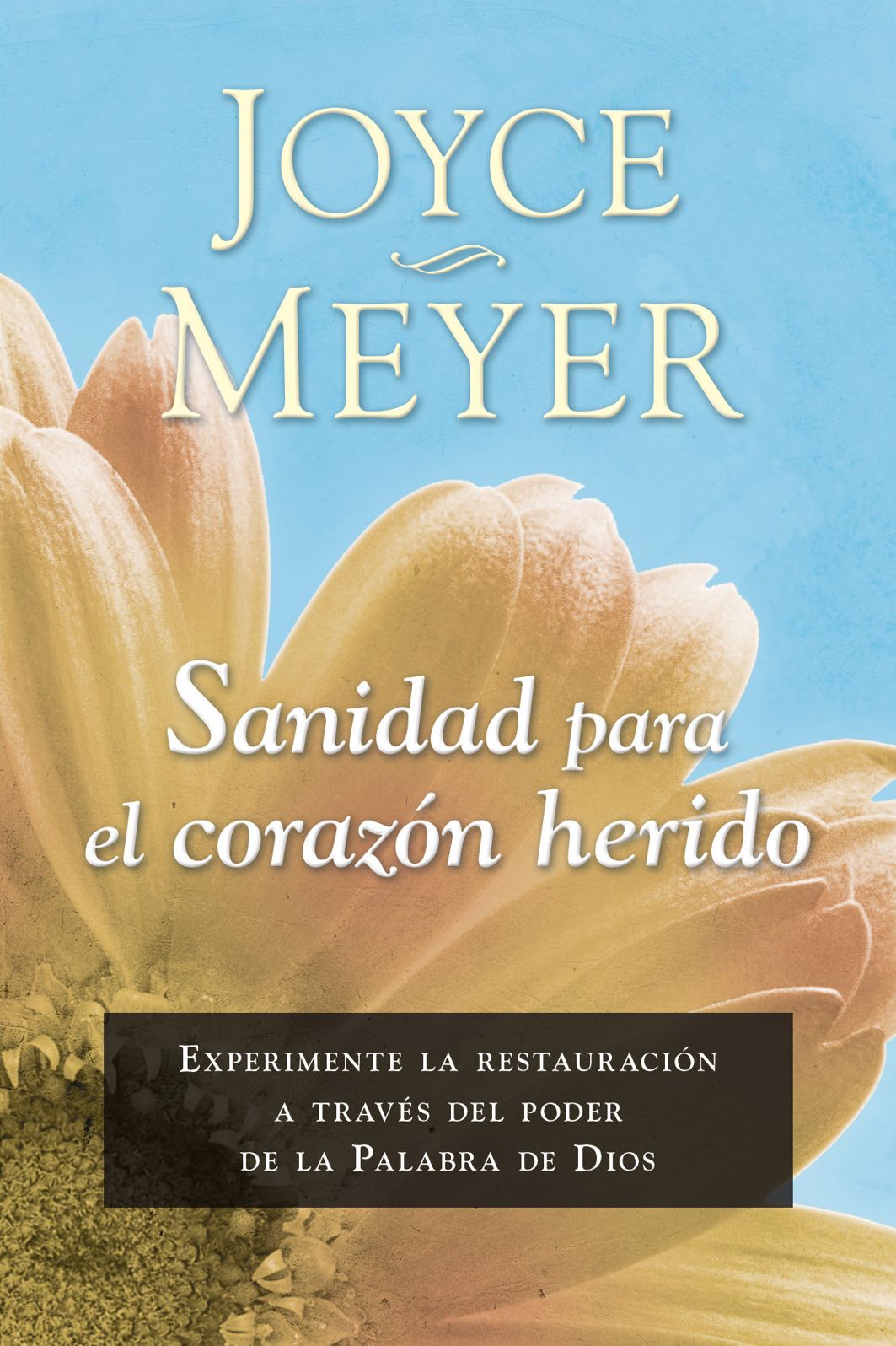 Sanidad para el corazón herido: Experimente la restauración a través del poder de la Palabra de Dios