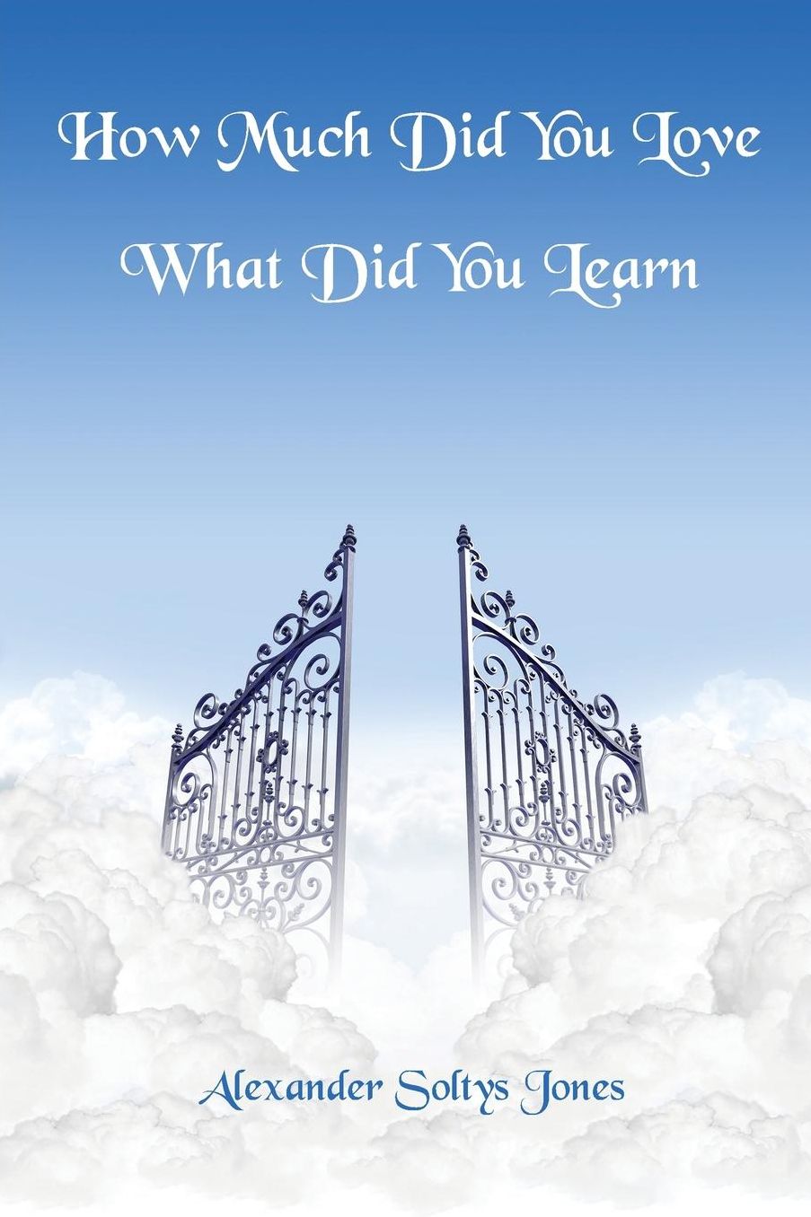 How Much Did You Love - What Did You Learn