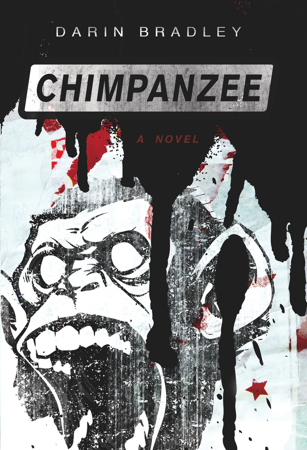 Chimpanzee