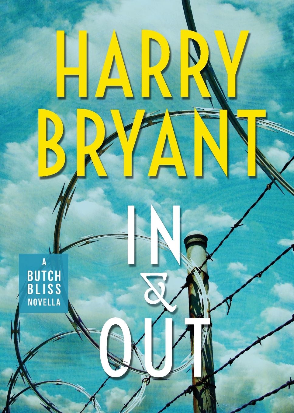 In & Out: A Butch Bliss Novella