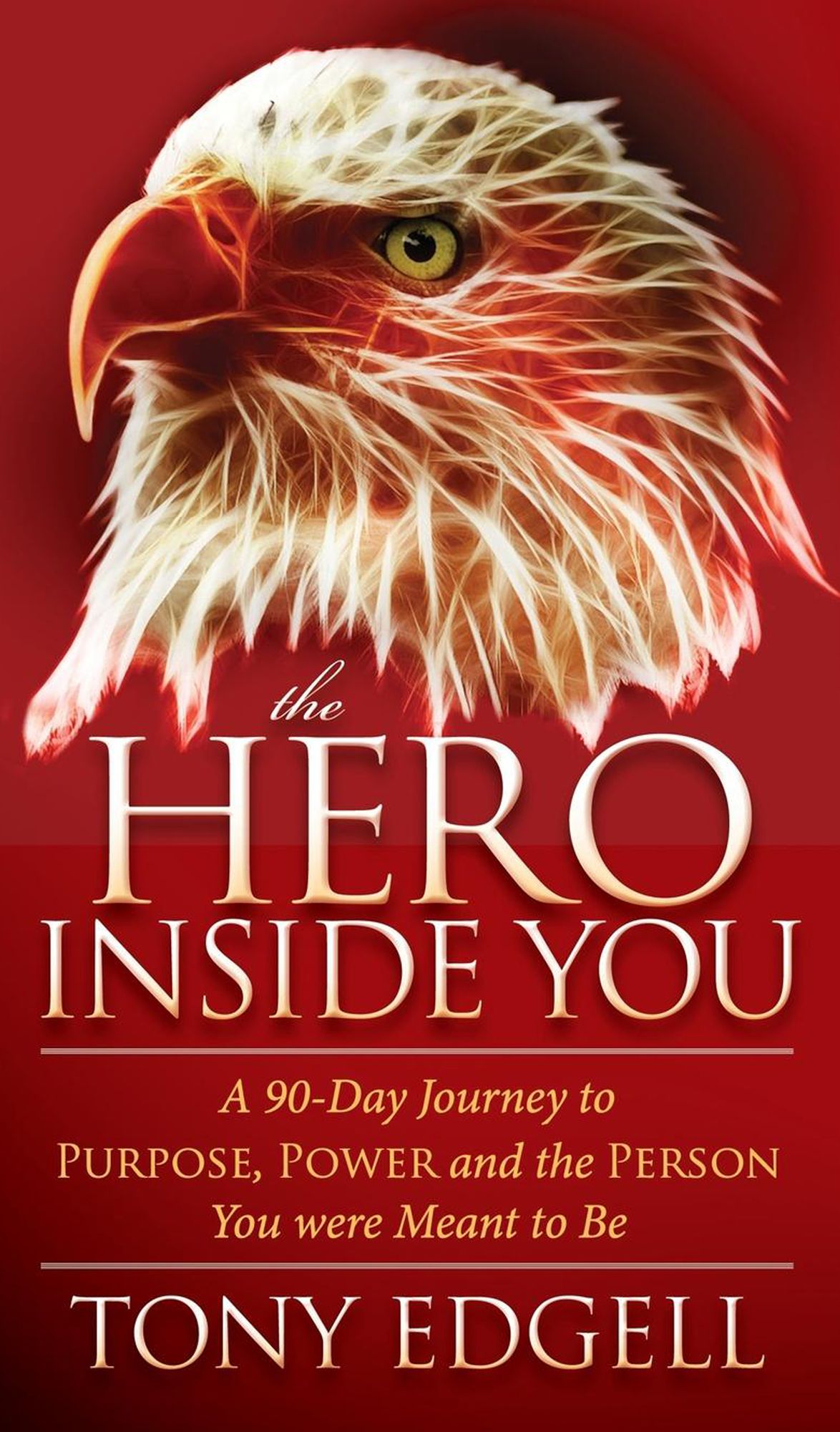 The Hero Inside You: A 90 Day Journey to Purpose, Power, and the Person You Were Meant to Be
