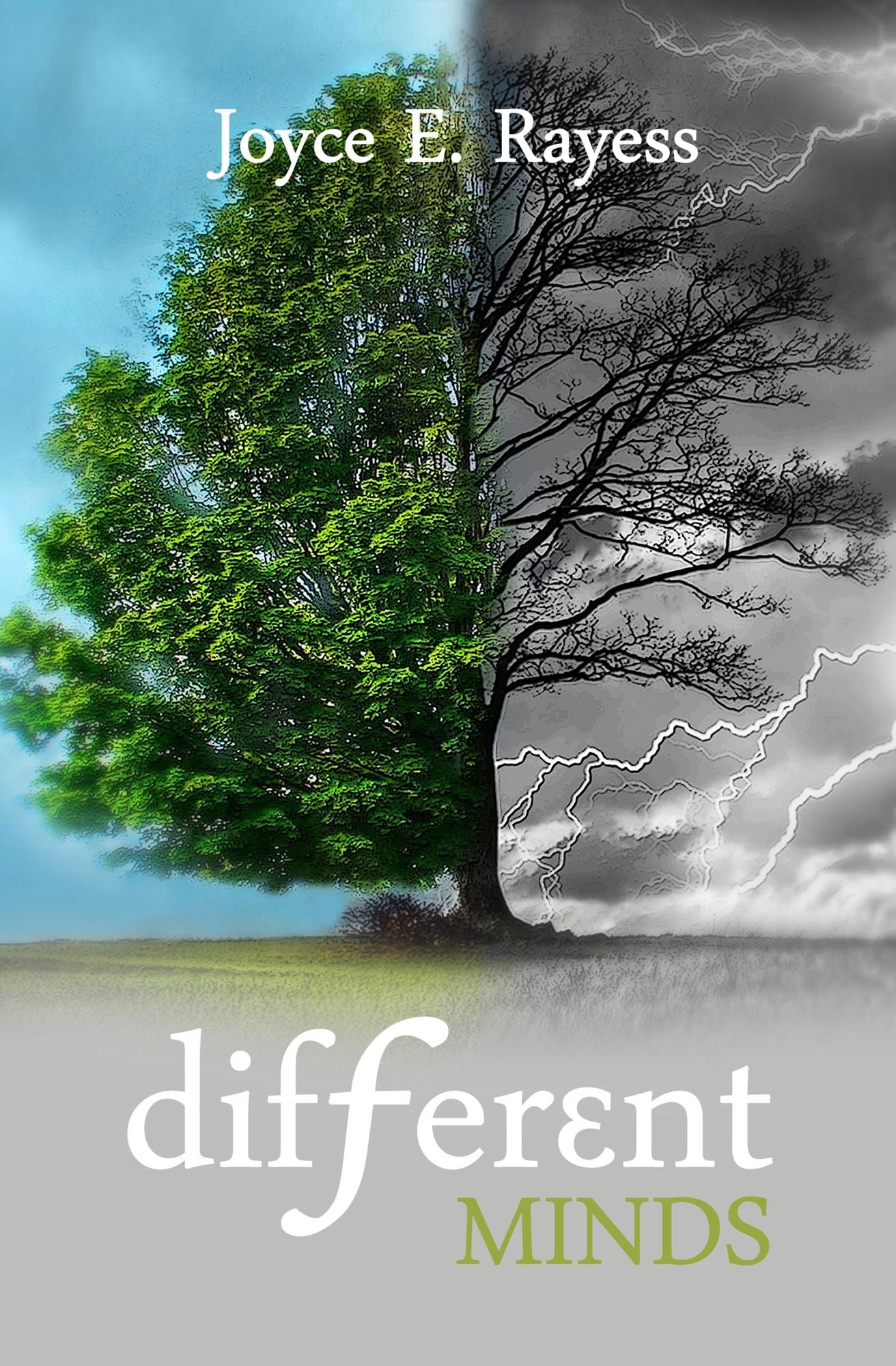 Different Minds