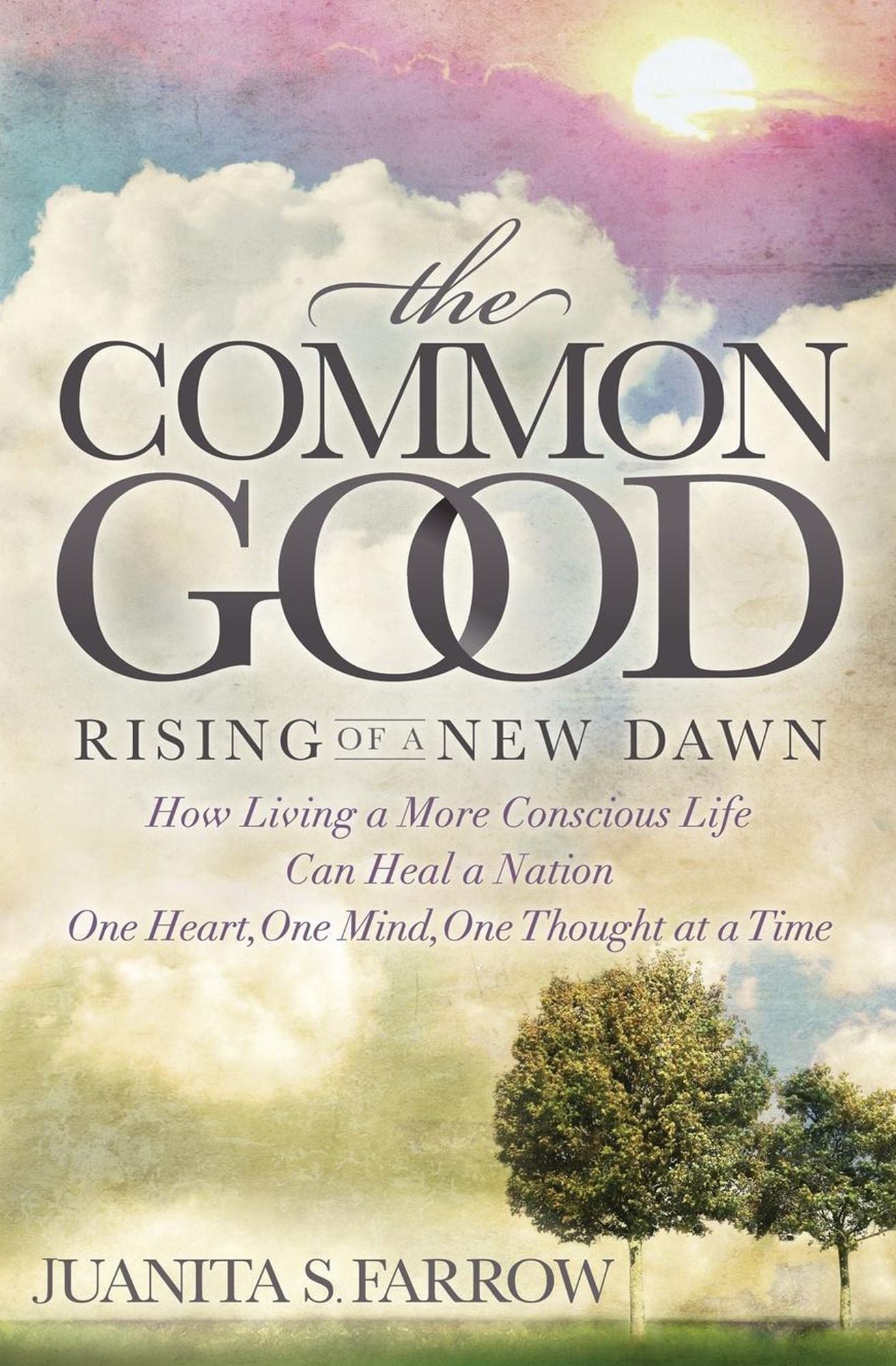 The Common Good: Rising of a New Dawn How Living a More Conscious Life Can Heal a Nation One Heart, One Mind, One Thought at a Time