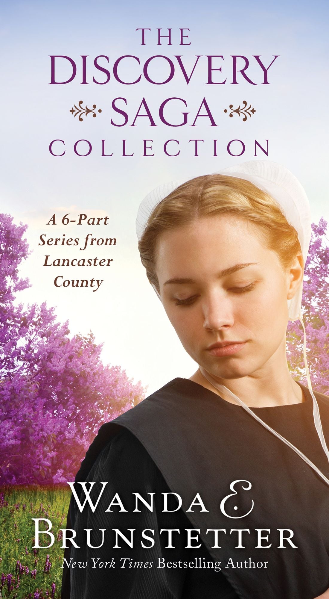 The Discovery Saga Collection: A 6-Part Series from Lancaster County