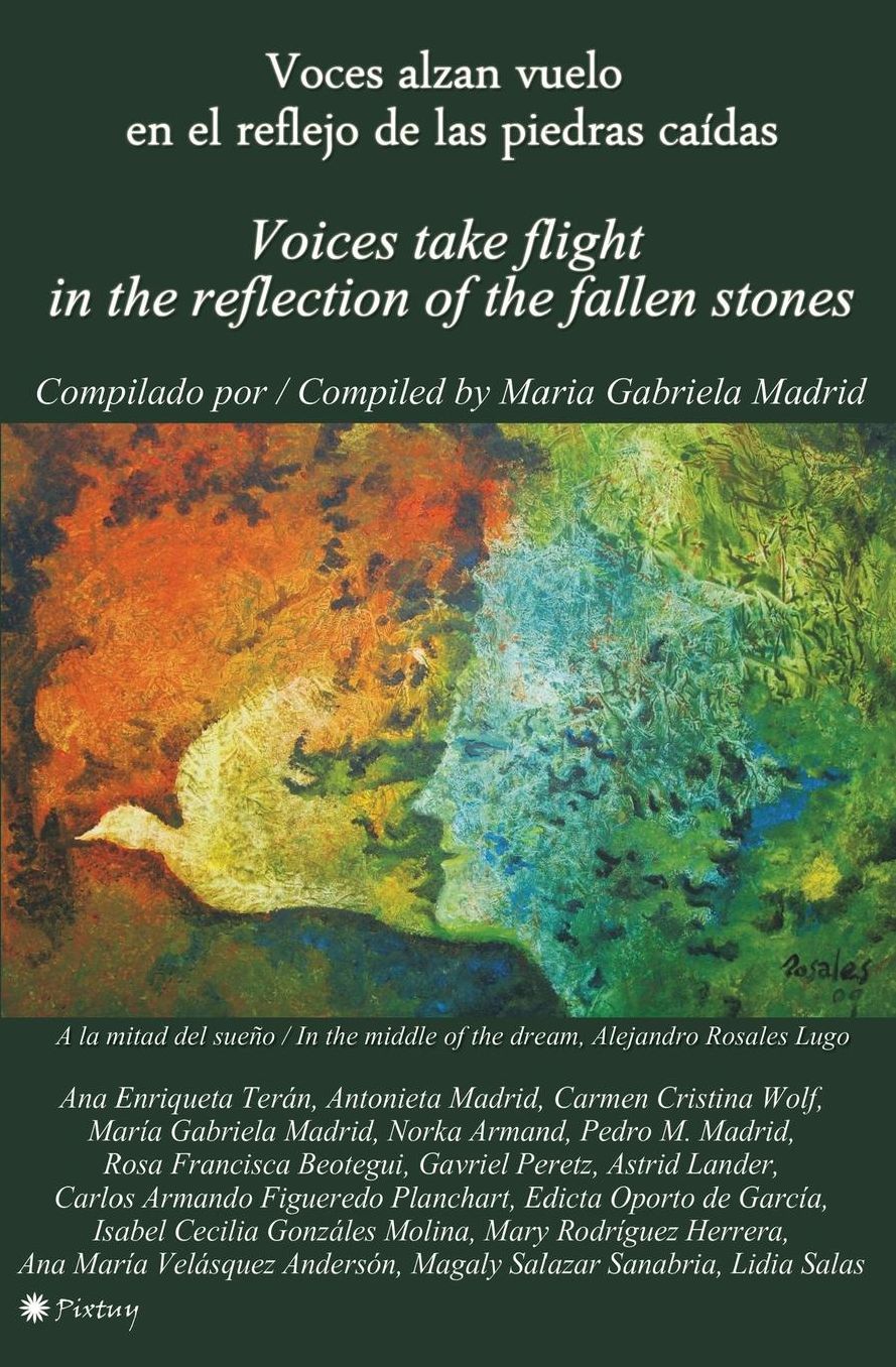 Voces alzan vuelo en el reflejo de las piedras ca das: Voices take flight in the reflection of the fallen stones