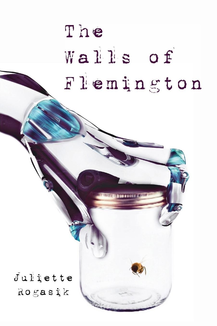 The Walls of Flemington