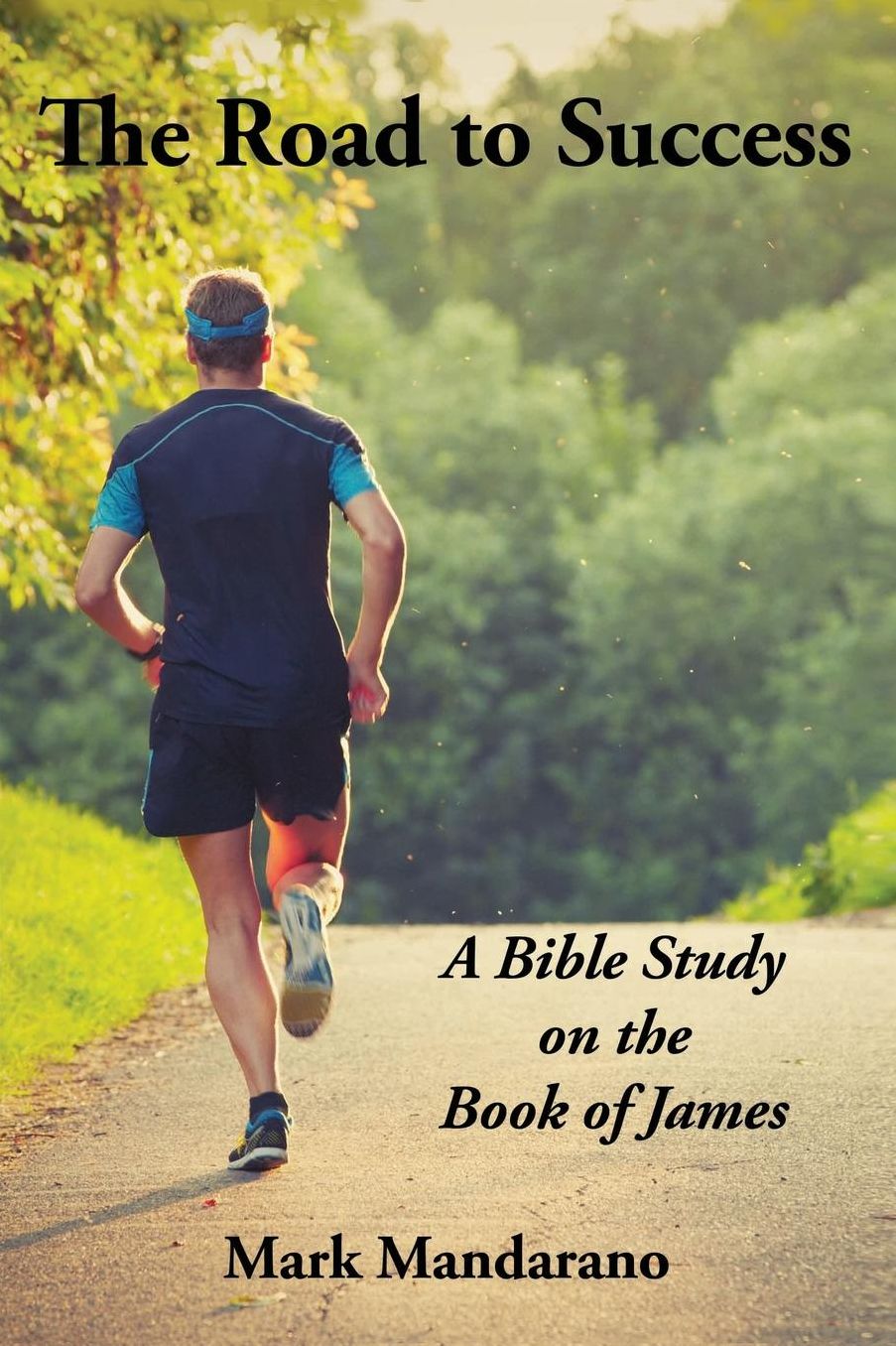 The Road to Success: A Bible Study on the Book of James
