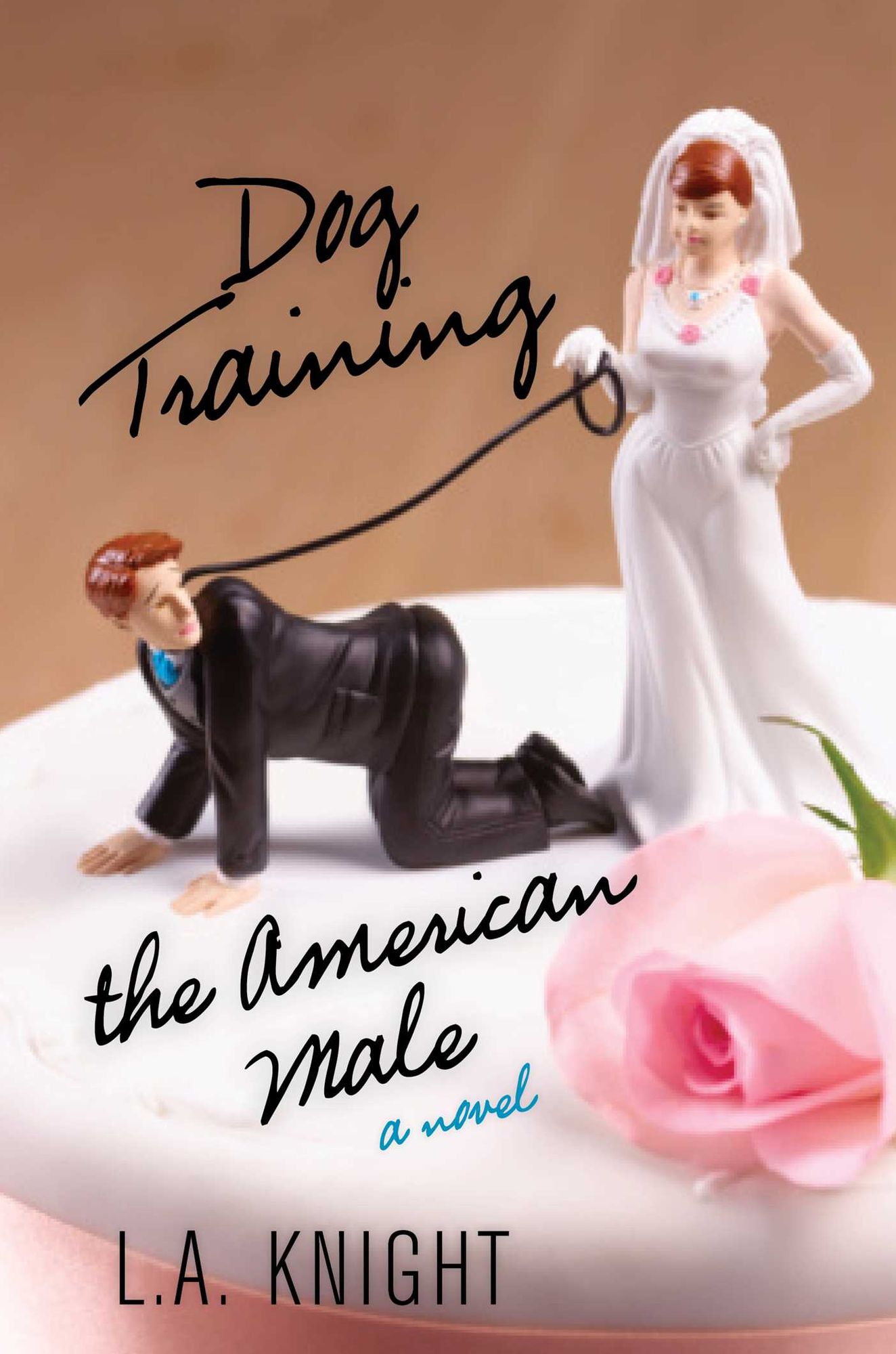 Dog Training the American Male: A Novel