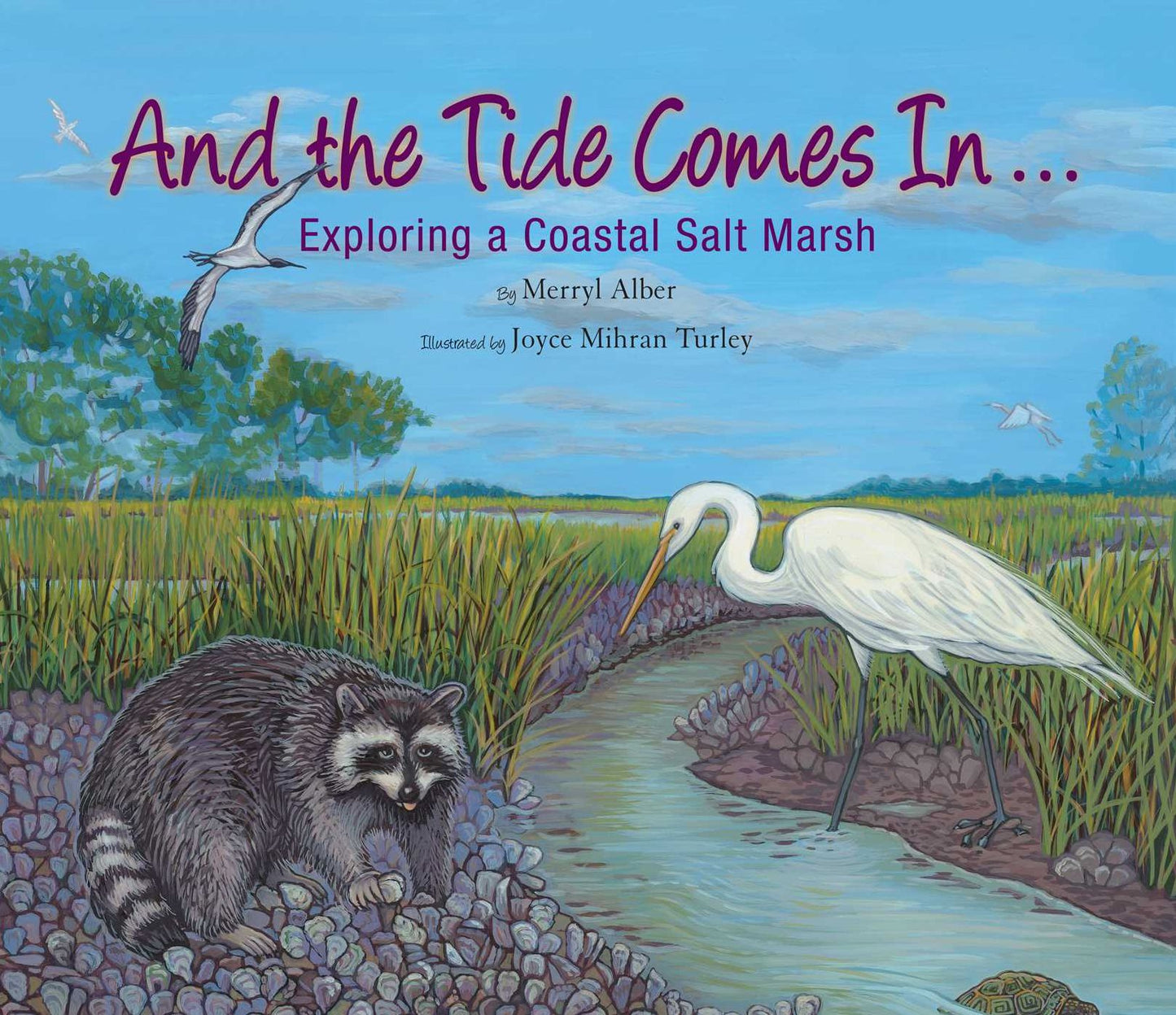 And the Tide Comes In...: Exploring a Georgia Salt Marsh