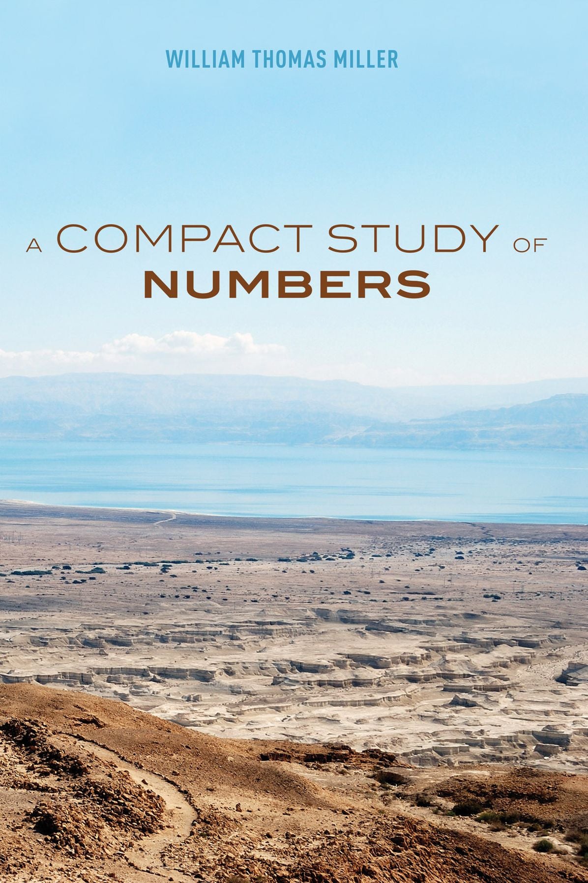 A Compact Study of Numbers :