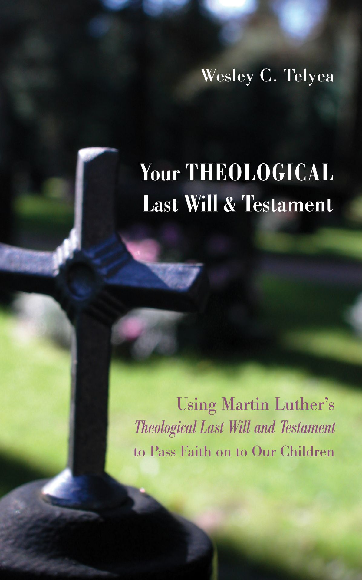 Your Theological Last Will and Testament: Using Martin Luther's "Theological Last Will and Testament" to Pass Faith on to Our Children